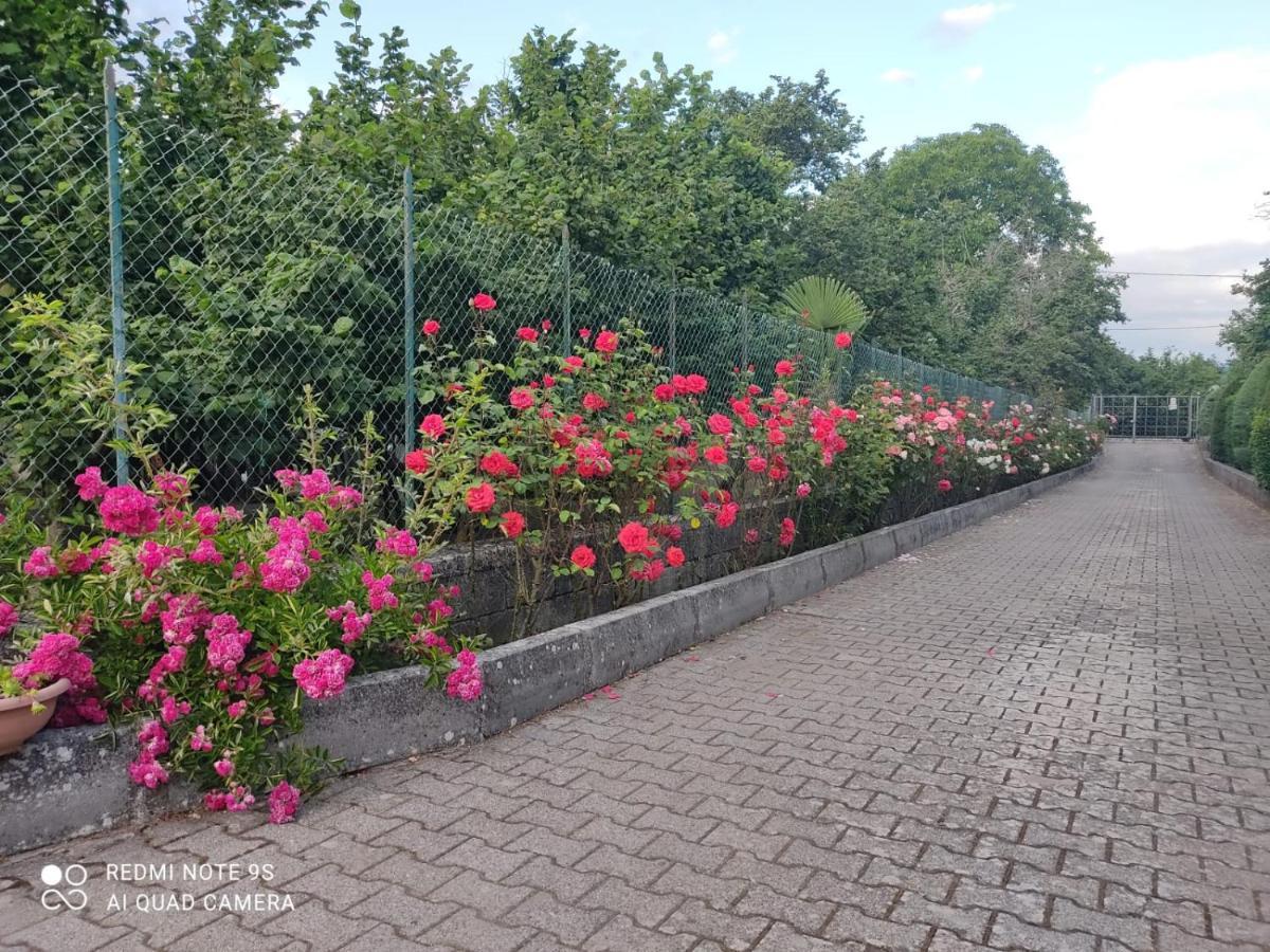 B&B Santa Maria Forino ภายนอก รูปภาพ